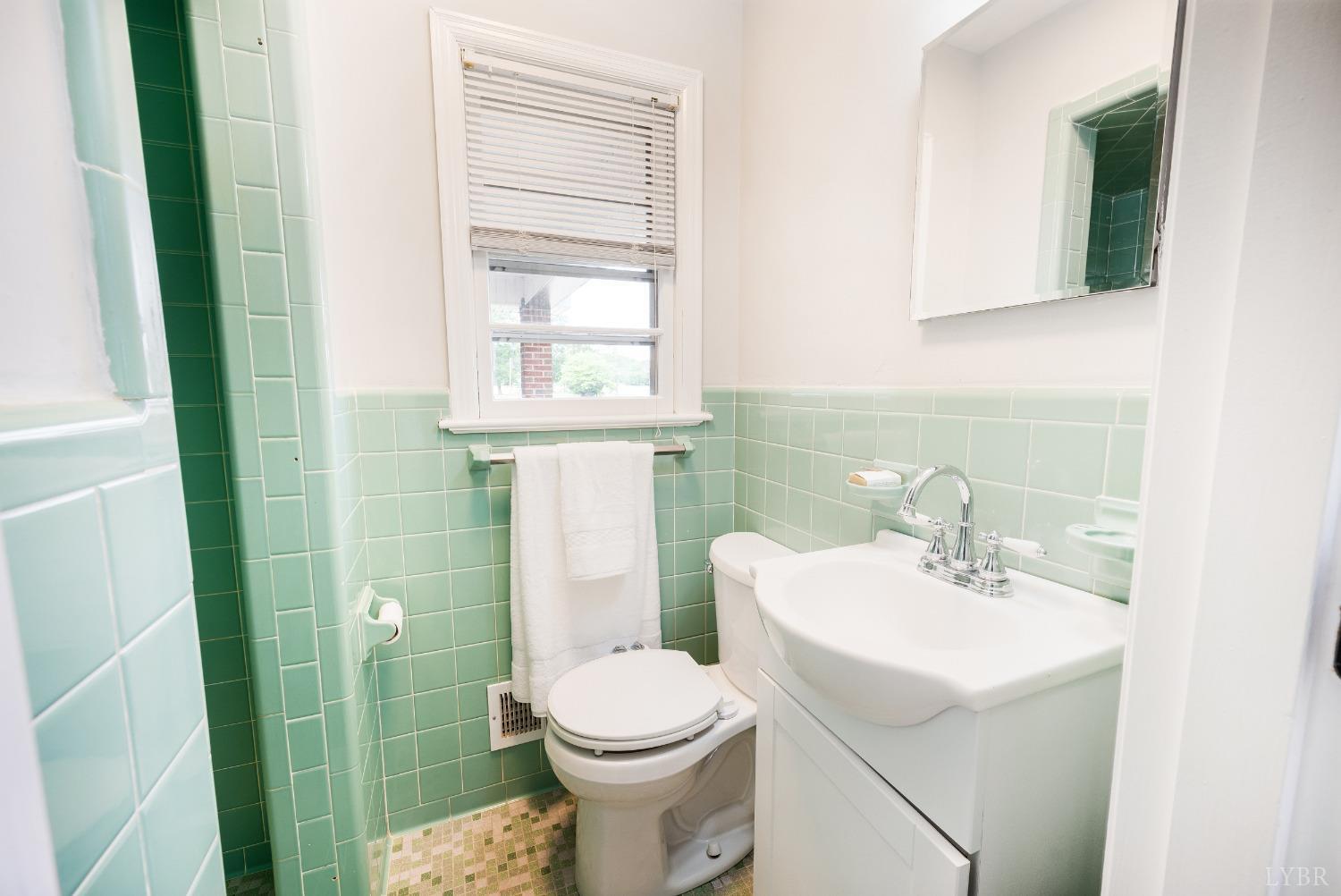 7230 Wards Road Rustburg, VA 24588 - Photo 29 of 58 a bathroom with a sink a toilet and a mirror