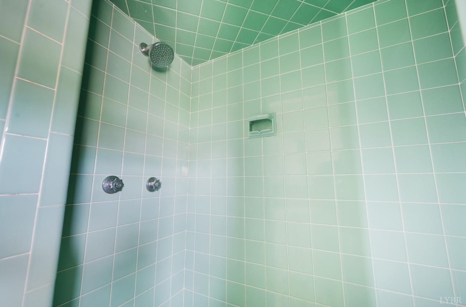7230 Wards Road Rustburg, VA 24588 - Photo 30 of 58 a bathroom with a shower