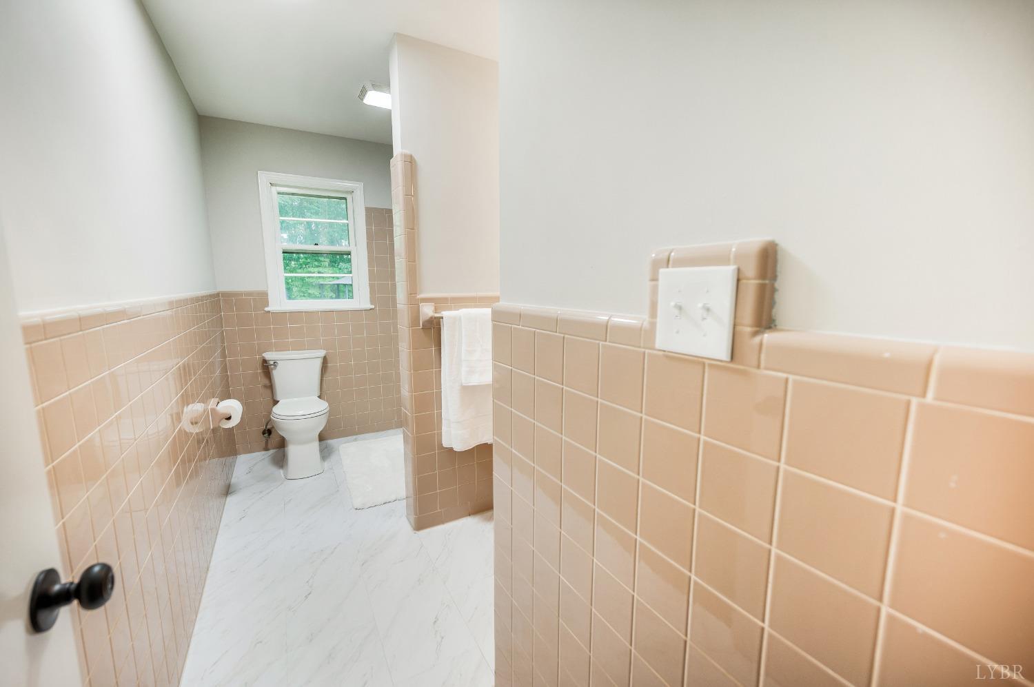 7230 Wards Road Rustburg, VA 24588 - Photo 34 of 58 a bathroom with a sink a toilet and a shower