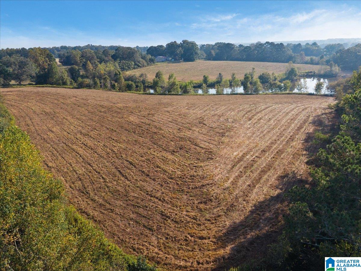 21 County Road, Unit 2 00 Horton, AL 35980 - Photo 13 of 17