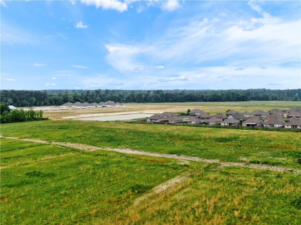 45043 River Road Hammond, LA 70401 - Photo 2 of 17