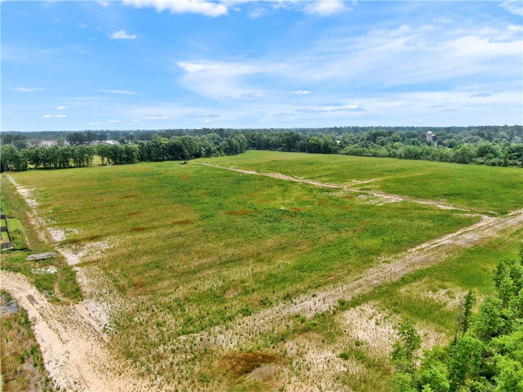 45043 River Road Hammond, LA 70401 - Photo 4 of 17