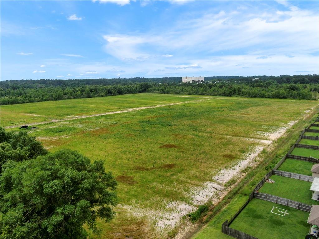 45043 River Road Hammond, LA 70401 - Photo 6 of 17