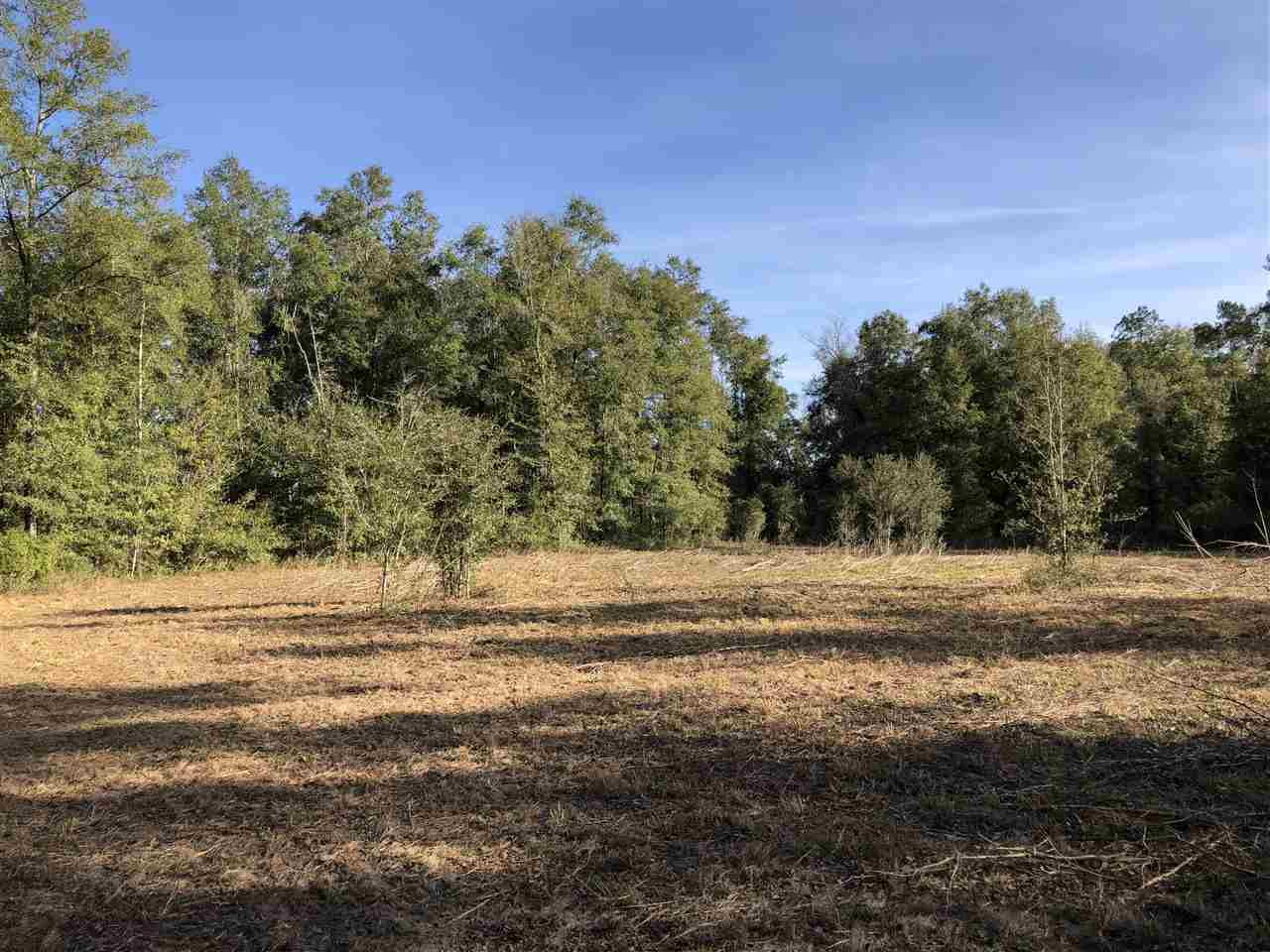 515 Northeast Reagan Road Madison, FL 32340 - Photo 14 of 17 Gallery Image 14