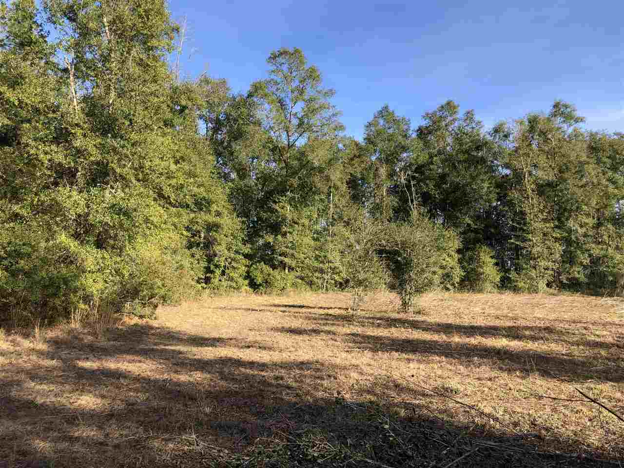 515 Northeast Reagan Road Madison, FL 32340 - Photo 15 of 17 Gallery Image 15