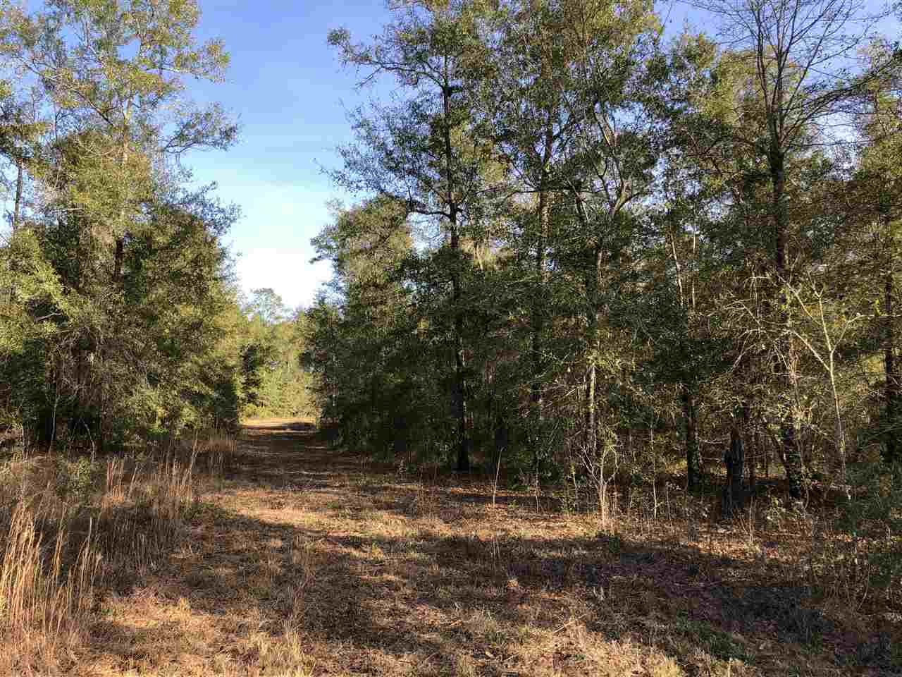 515 Northeast Reagan Road Madison, FL 32340 - Photo 16 of 17 Gallery Image 16