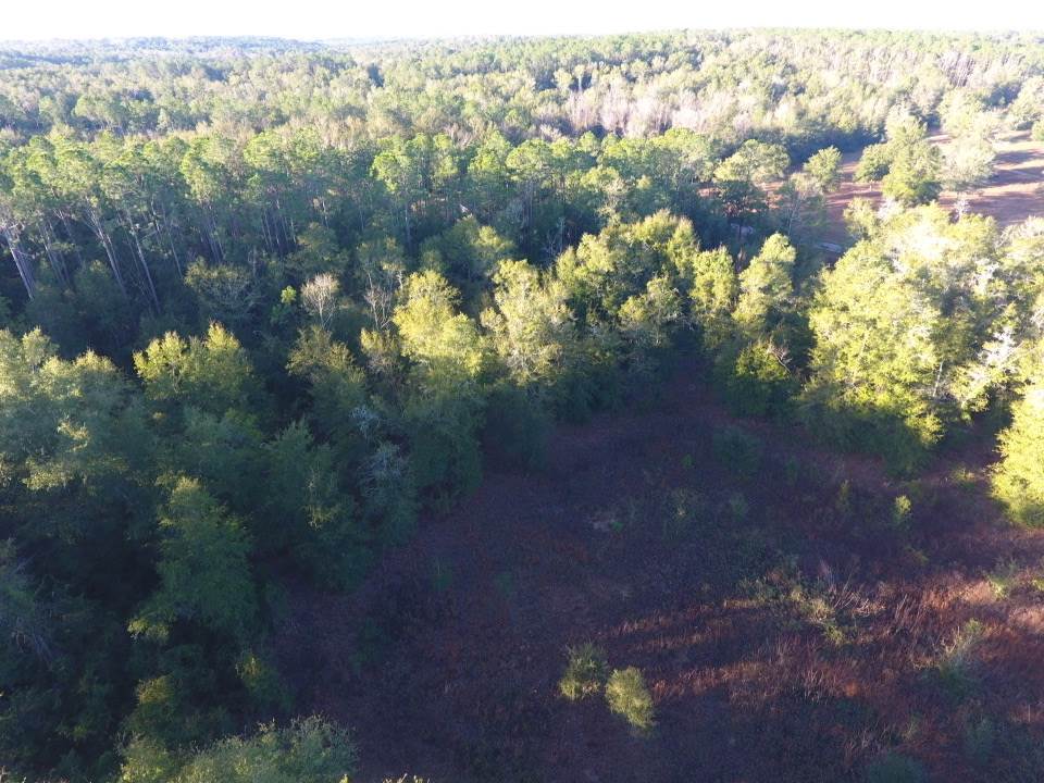 515 Northeast Reagan Road Madison, FL 32340 - Photo 3 of 17 Gallery Image 3