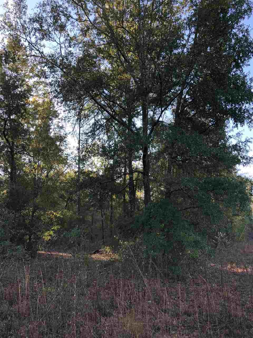515 Northeast Reagan Road Madison, FL 32340 - Photo 5 of 17 Gallery Image 5