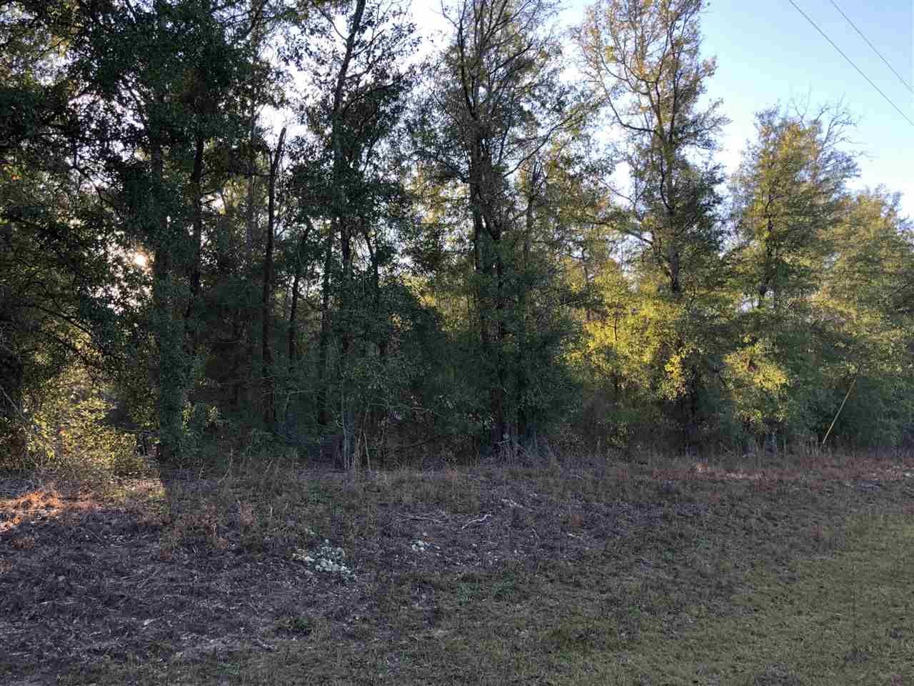 515 Northeast Reagan Road Madison, FL 32340 - Photo 8 of 17 Gallery Image 8