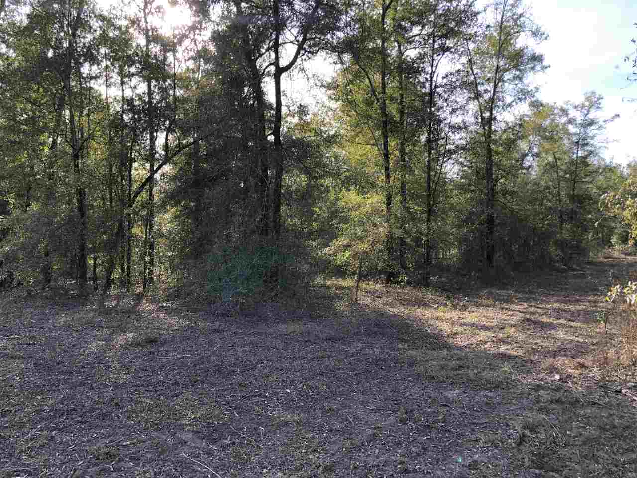 515 Northeast Reagan Road Madison, FL 32340 - Photo 10 of 17 Gallery Image 10