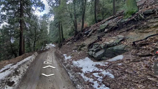 a view of a forest with trees