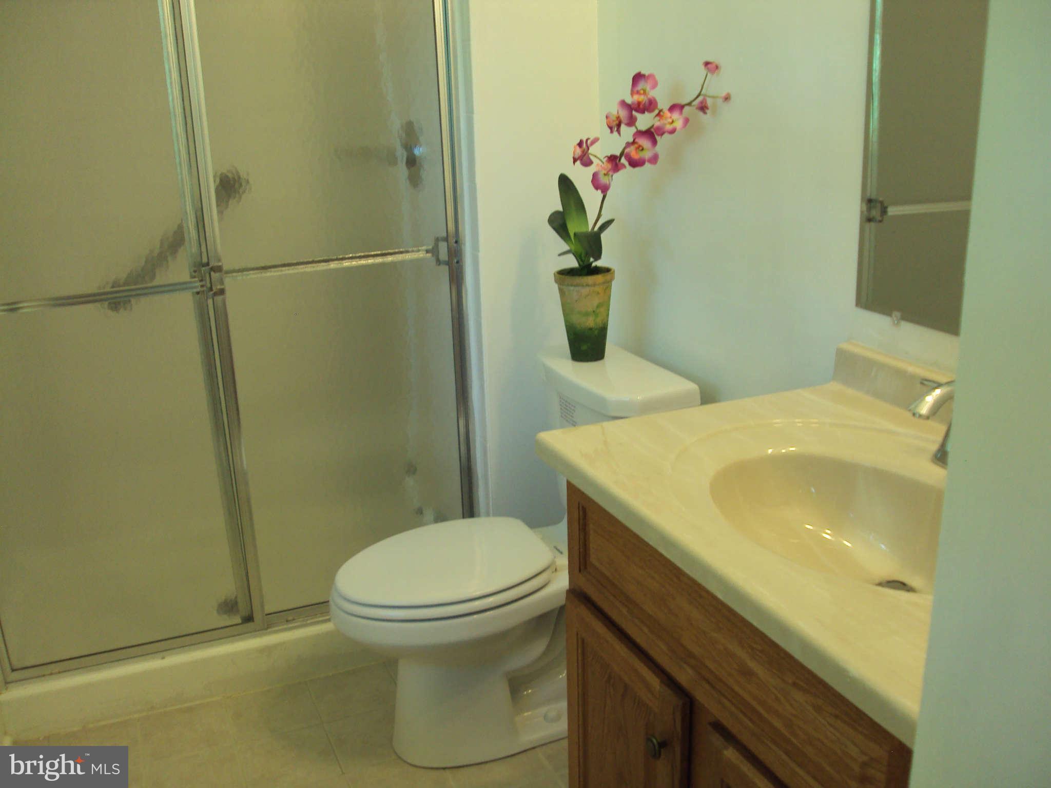3005 Bonview Lane Silver Spring, MD 20906 - Photo 24 of 30 Bath Master