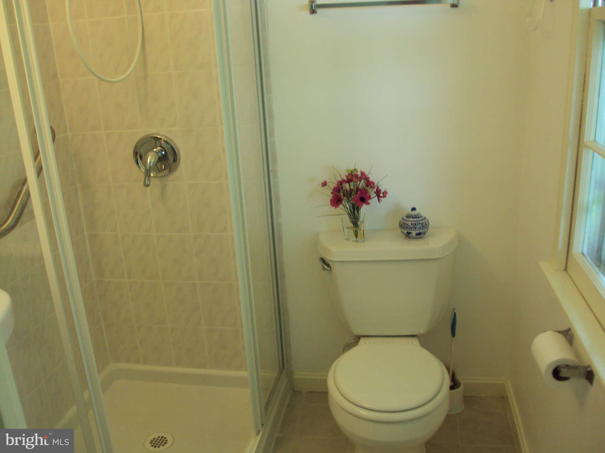 3005 Bonview Lane Silver Spring, MD 20906 - Photo 25 of 30 Bath Master