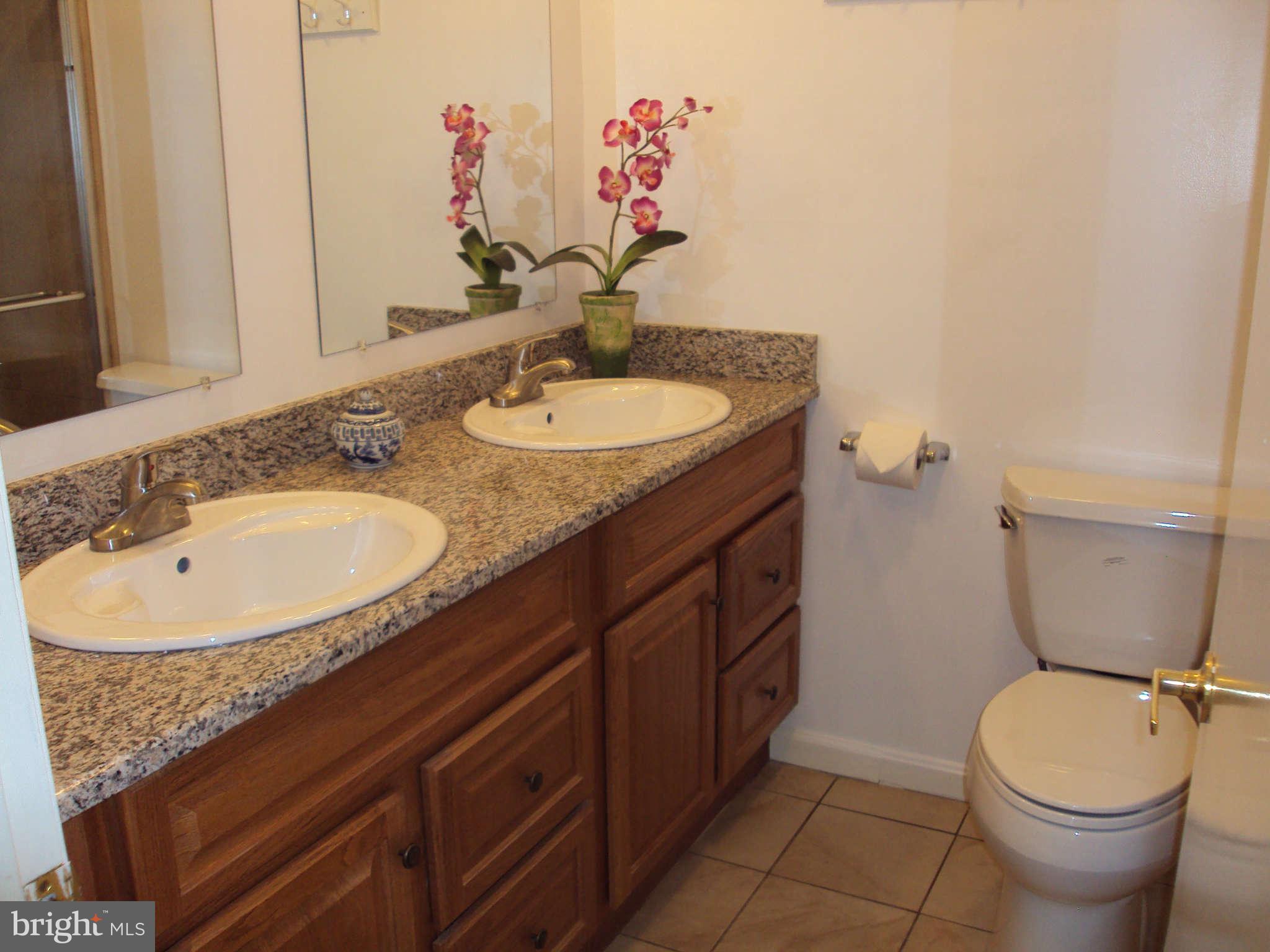 3005 Bonview Lane Silver Spring, MD 20906 - Photo 26 of 30 Bath