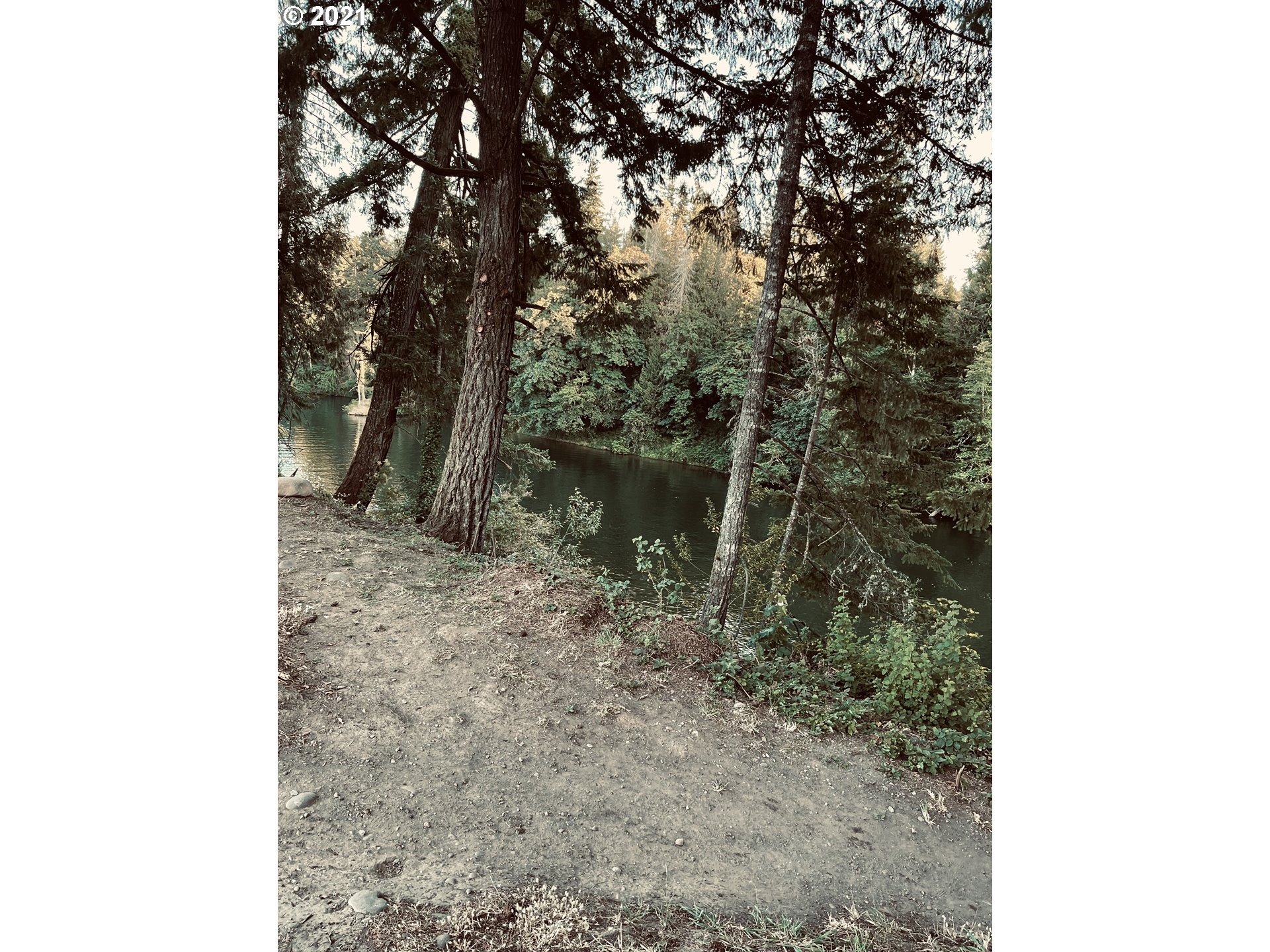459 Southwest Maple Road Estacada, OR 97023 - Photo 2 of 4 a backyard of a house
