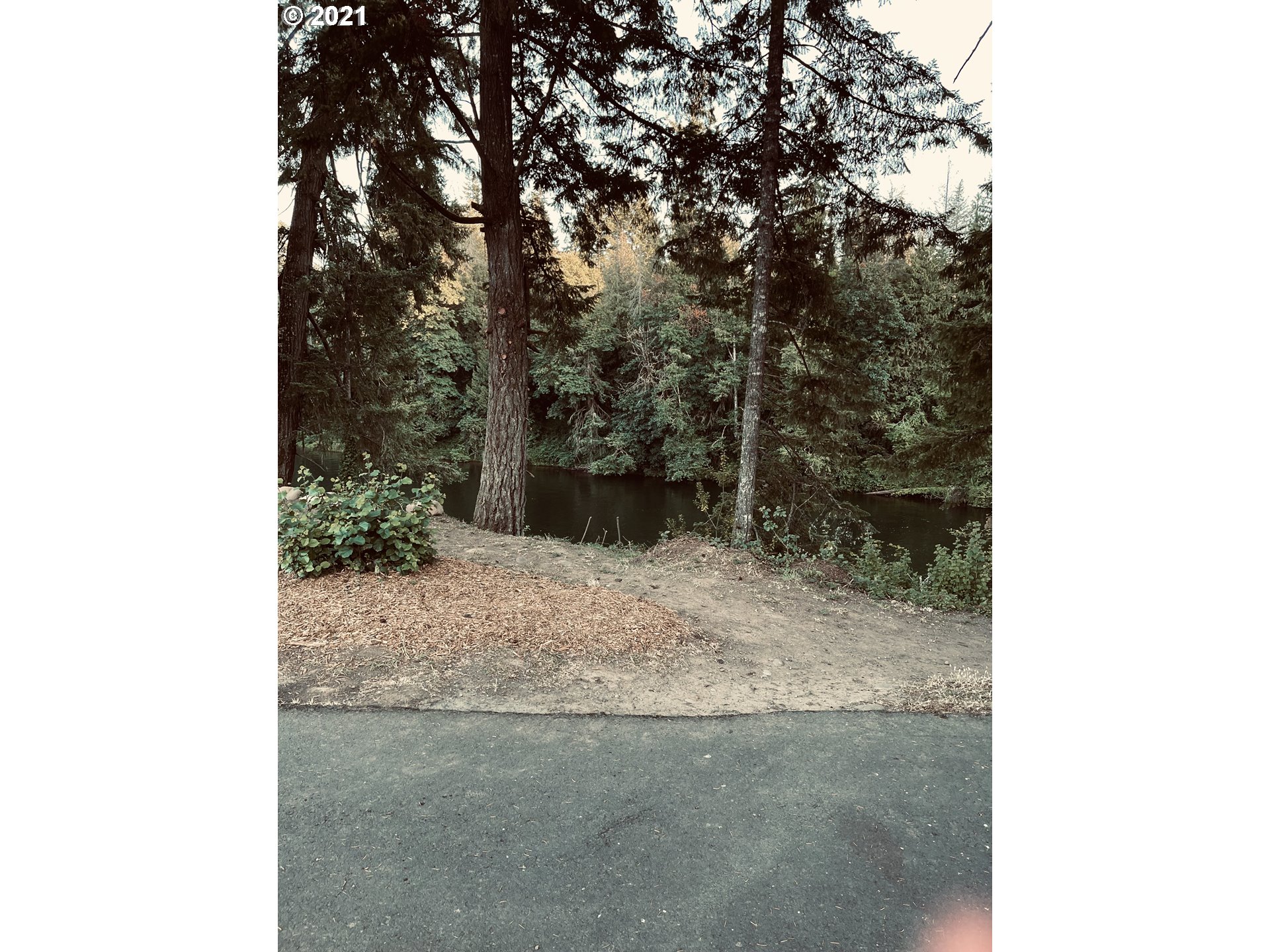459 Southwest Maple Road Estacada, OR 97023 - Photo 4 of 4 a view of a backyard with trees