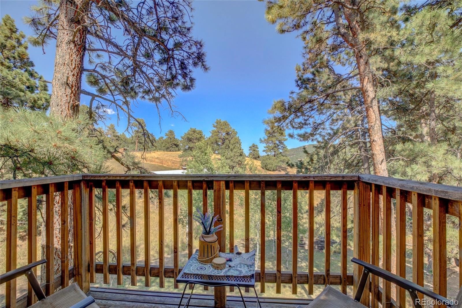 334 Spruce Road Golden, CO 80401 - Photo 31 of 35