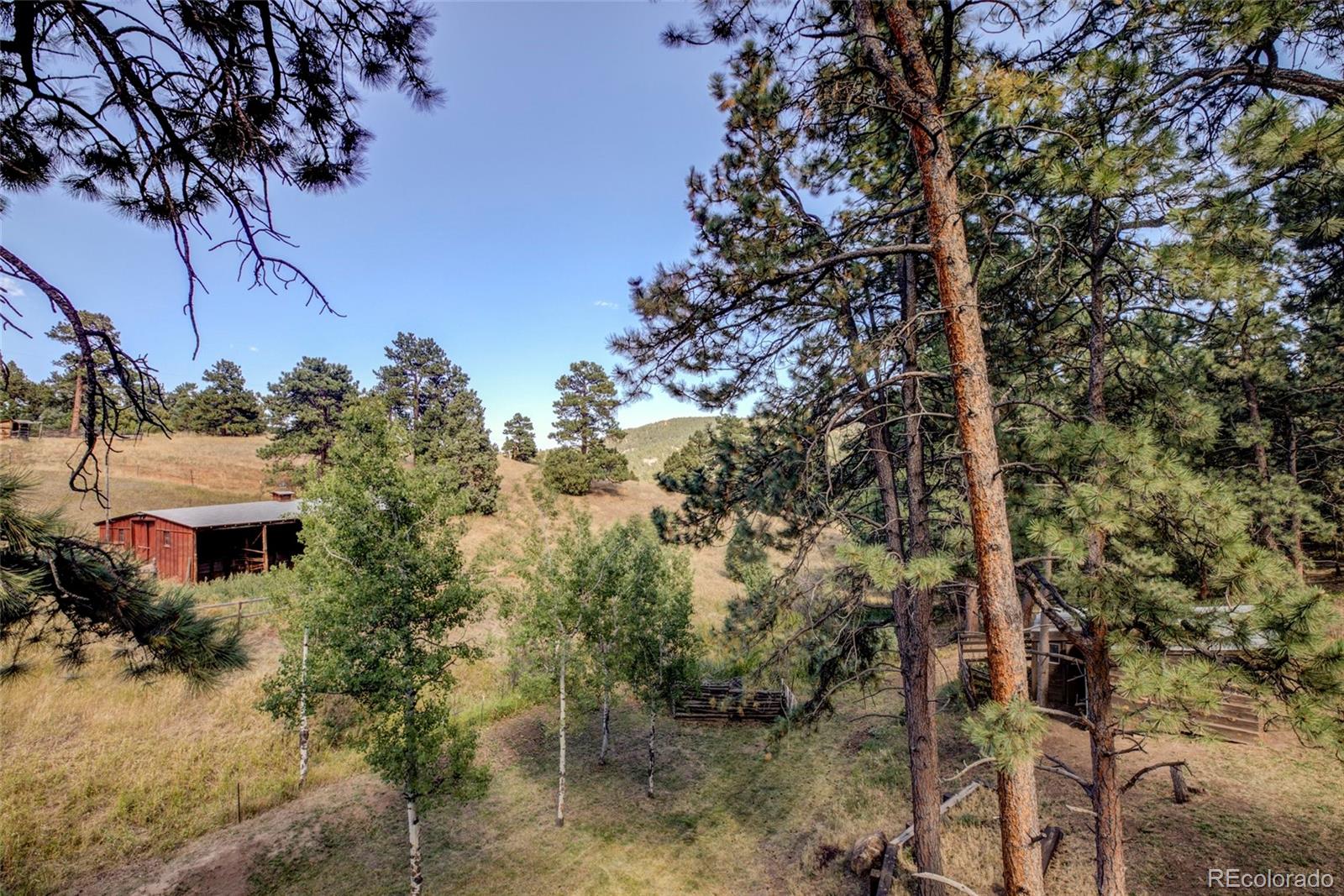 334 Spruce Road Golden, CO 80401 - Photo 32 of 35