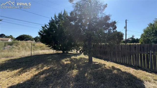 a view of a tree in a yard