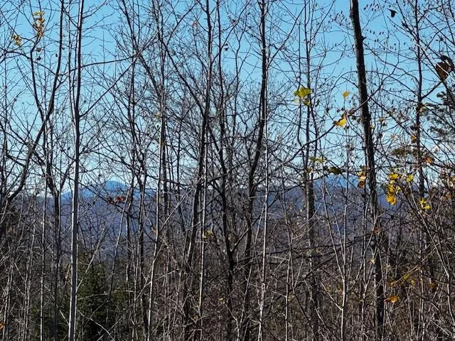 $32,000 | M14 L80 Brighton Road, Bingham, ME 04920