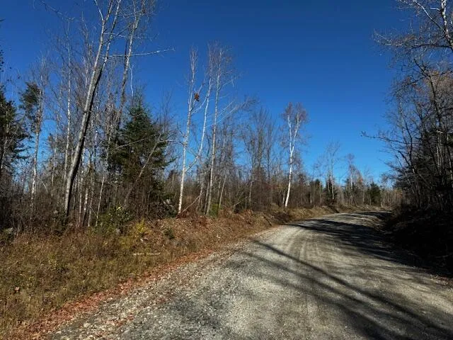 $32,000 | M14 L80 Brighton Road, Bingham, ME 04920