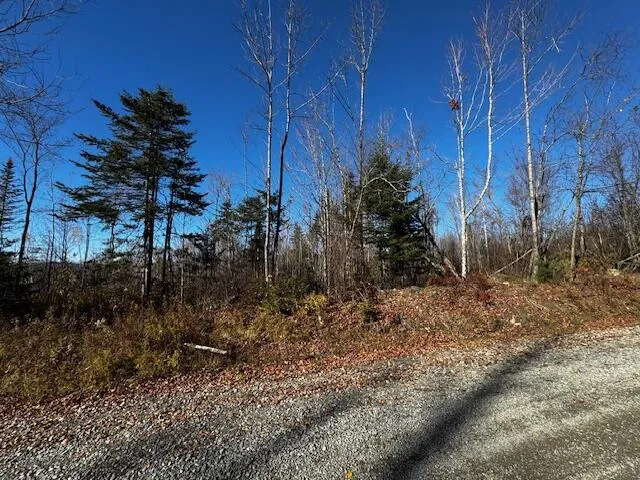 $32,000 | M14 L80 Brighton Road, Bingham, ME 04920