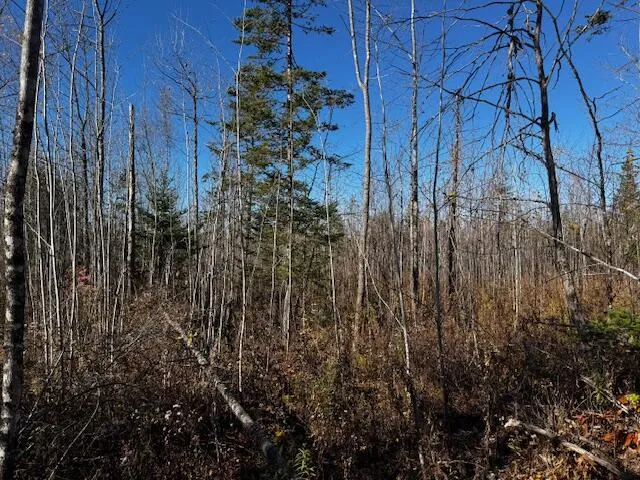 $32,000 | M14 L80 Brighton Road, Bingham, ME 04920