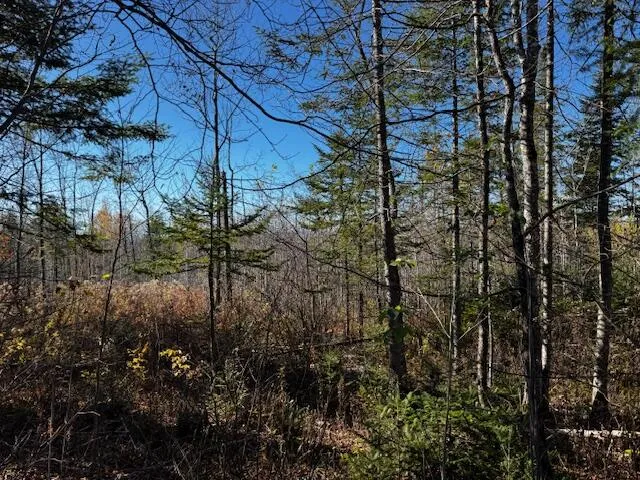 $32,000 | M14 L80 Brighton Road, Bingham, ME 04920