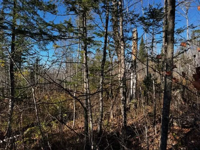 $32,000 | M14 L80 Brighton Road, Bingham, ME 04920