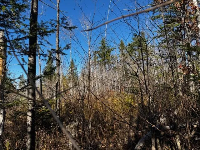 $32,000 | M14 L80 Brighton Road, Bingham, ME 04920