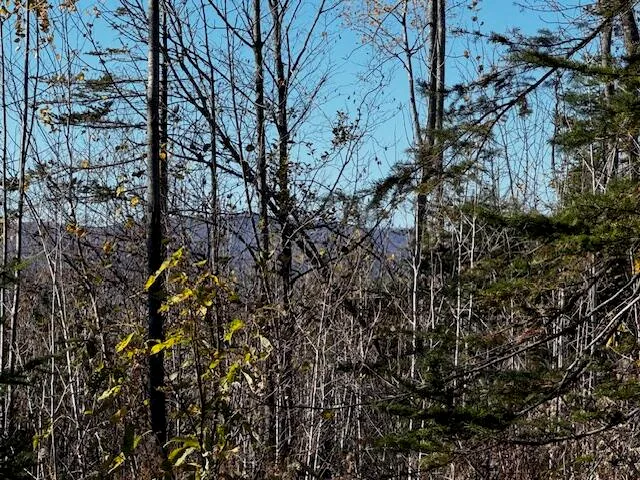 $32,000 | M14 L80 Brighton Road, Bingham, ME 04920