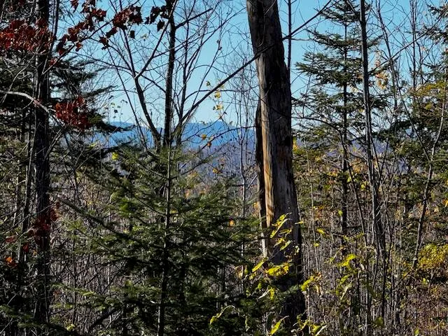 $32,000 | M14 L80 Brighton Road, Bingham, ME 04920