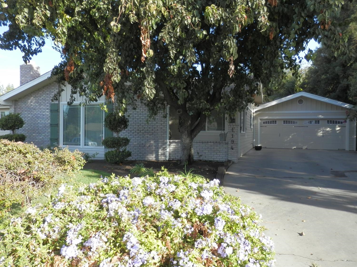 1194 West Eymann Avenue Reedley, CA 93654 - Photo 2 of 10 Gallery Image 2