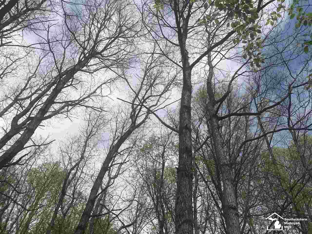 0 Bunton Road Milan, MI 48160 - Photo 16 of 22