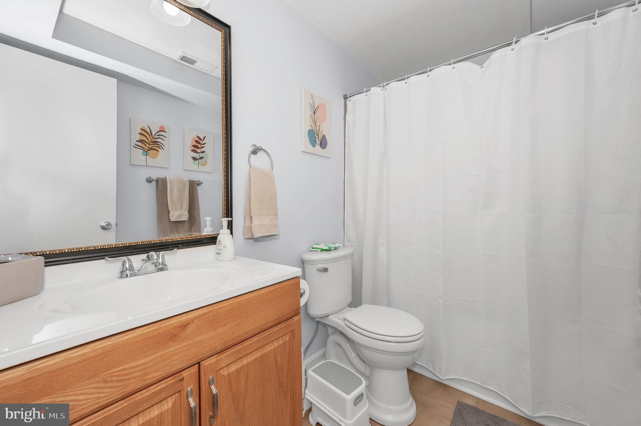 1107 2nd Avenue Brunswick, MD 21716 - Photo 35 of 52 a bathroom with a sink a toilet and shower