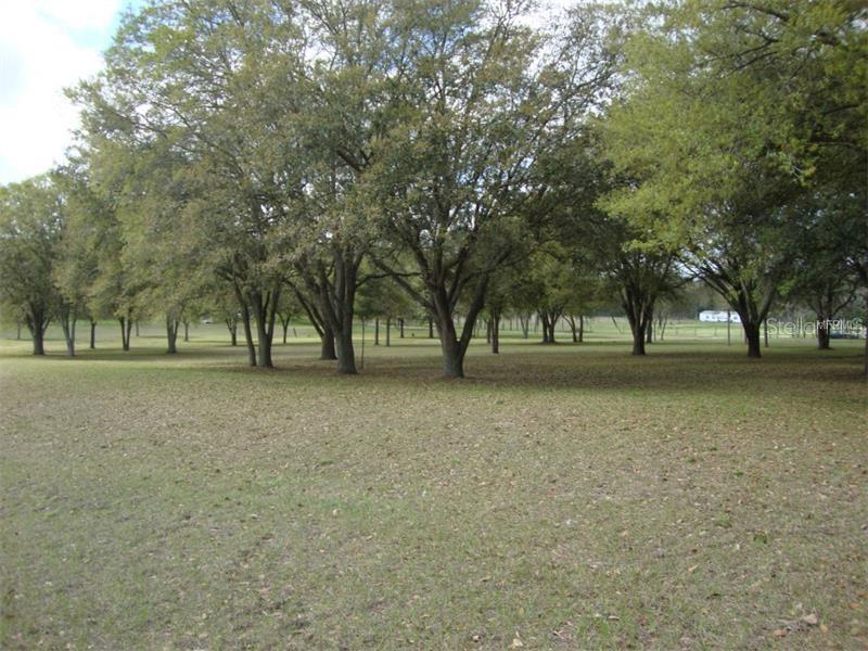 0 Sky Ridge Circle Dade City, FL 33525 - Photo 1 of 1