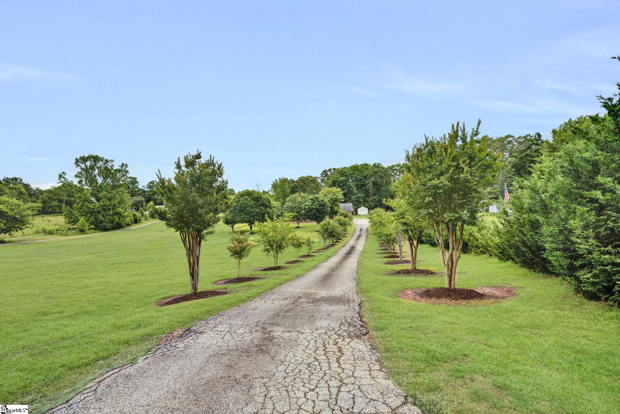 635 Dacusville Road Marietta, SC 29661 - Photo 9 of 45