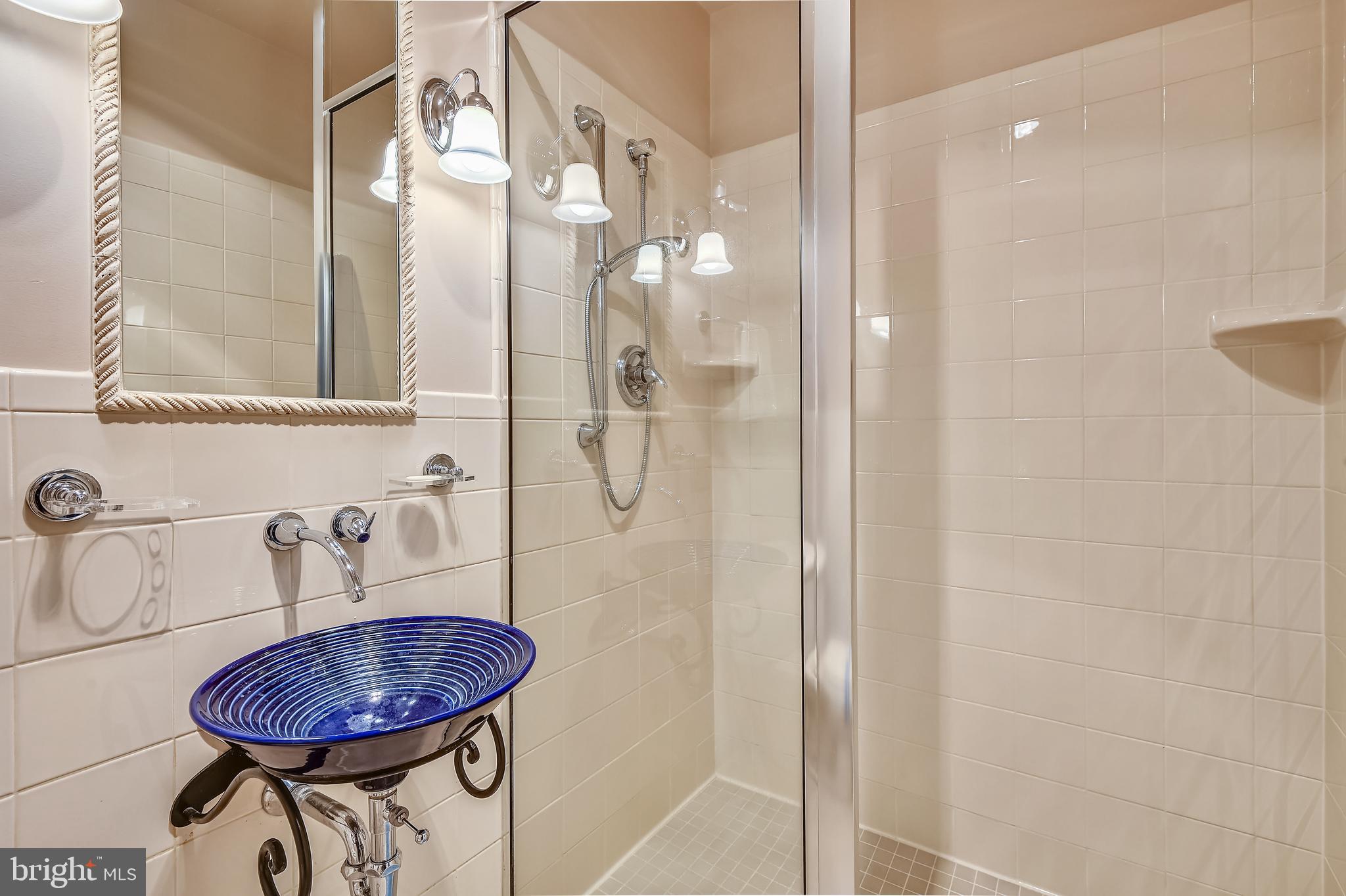 450 South River Landing Road Edgewater, MD 21037 - Photo 50 of 68 Full bath off 5th bedroom