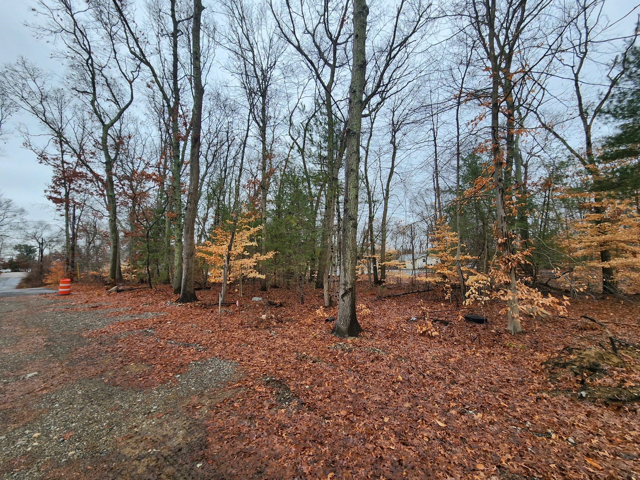 0 Barberry Road Norton, MA 02766 - Photo 2 of 4 Gallery Image 2