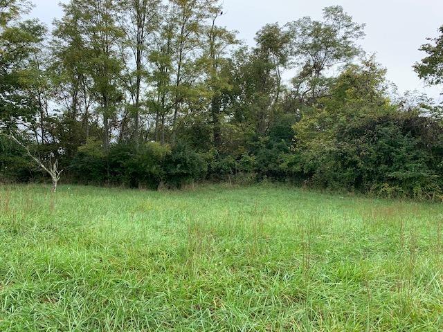 1590 Old State Road Manchester, OH 45144 - Photo 2 of 22 Gallery Image 2