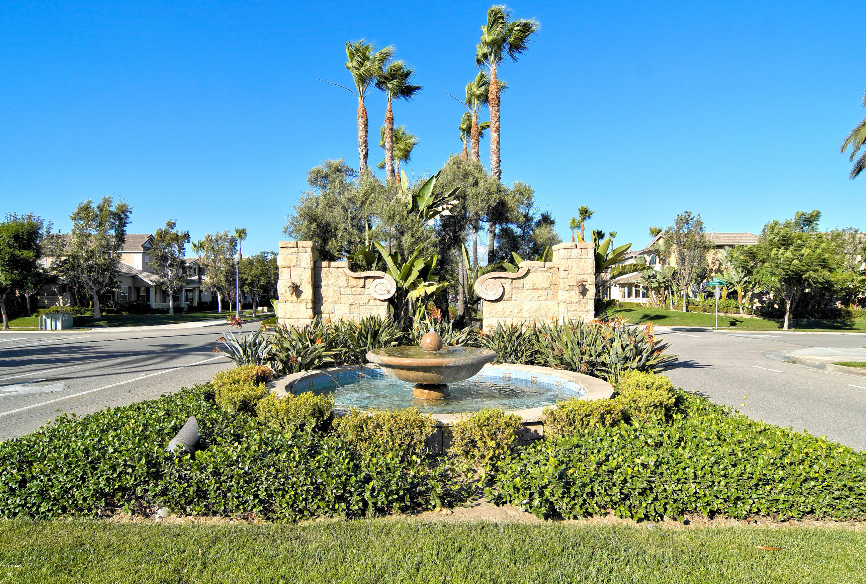 421 Spring Park Road Camarillo, CA 93012 - Photo 33 of 51 a view of a yard with palm trees