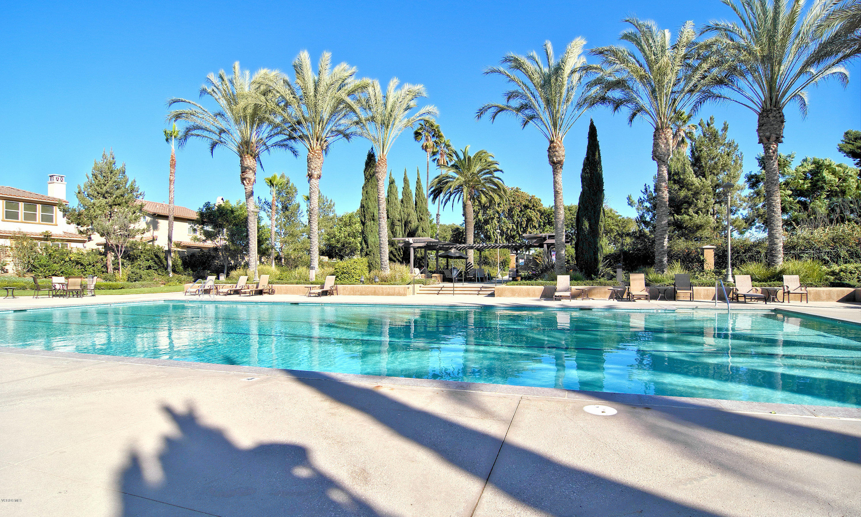 421 Spring Park Road Camarillo, CA 93012 - Photo 40 of 51 a view of swimming pool with a yard and palm trees