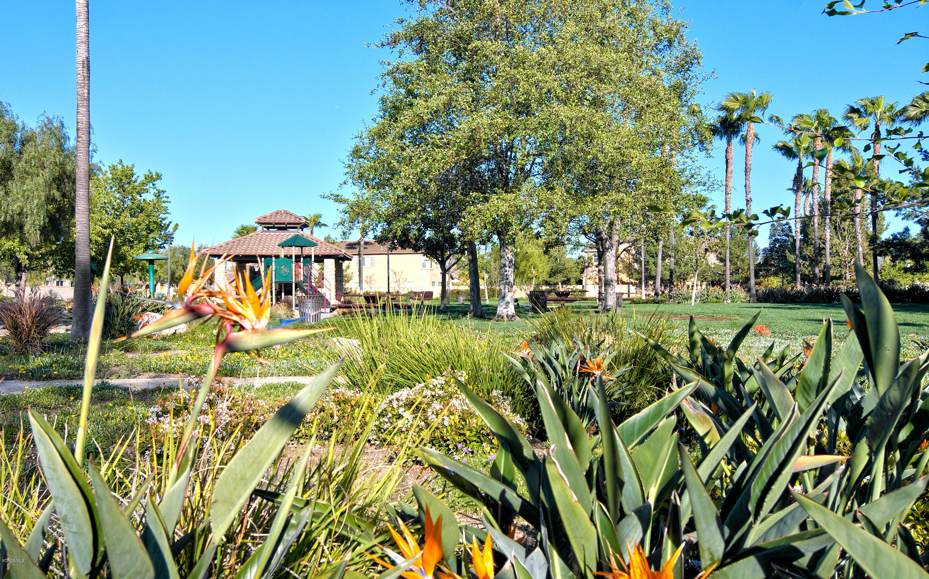 421 Spring Park Road Camarillo, CA 93012 - Photo 46 of 51 a view of swimming pool with a garden