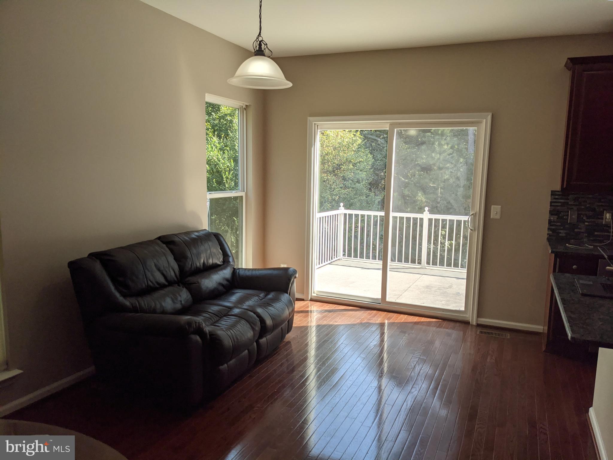 22440 Snow Powder Terrace Brambleton, VA 20148 - Photo 9 of 21 Family Room to Deck