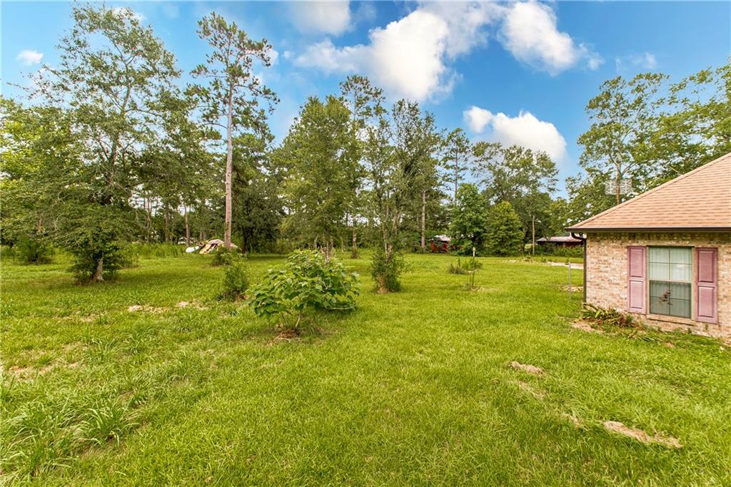 19134 Tinney Road Covington, LA 70435 - Photo 2 of 21