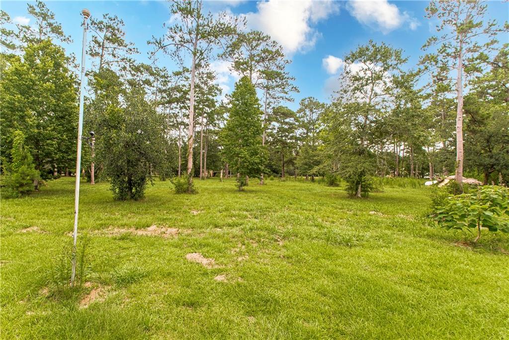 19134 Tinney Road Covington, LA 70435 - Photo 3 of 21
