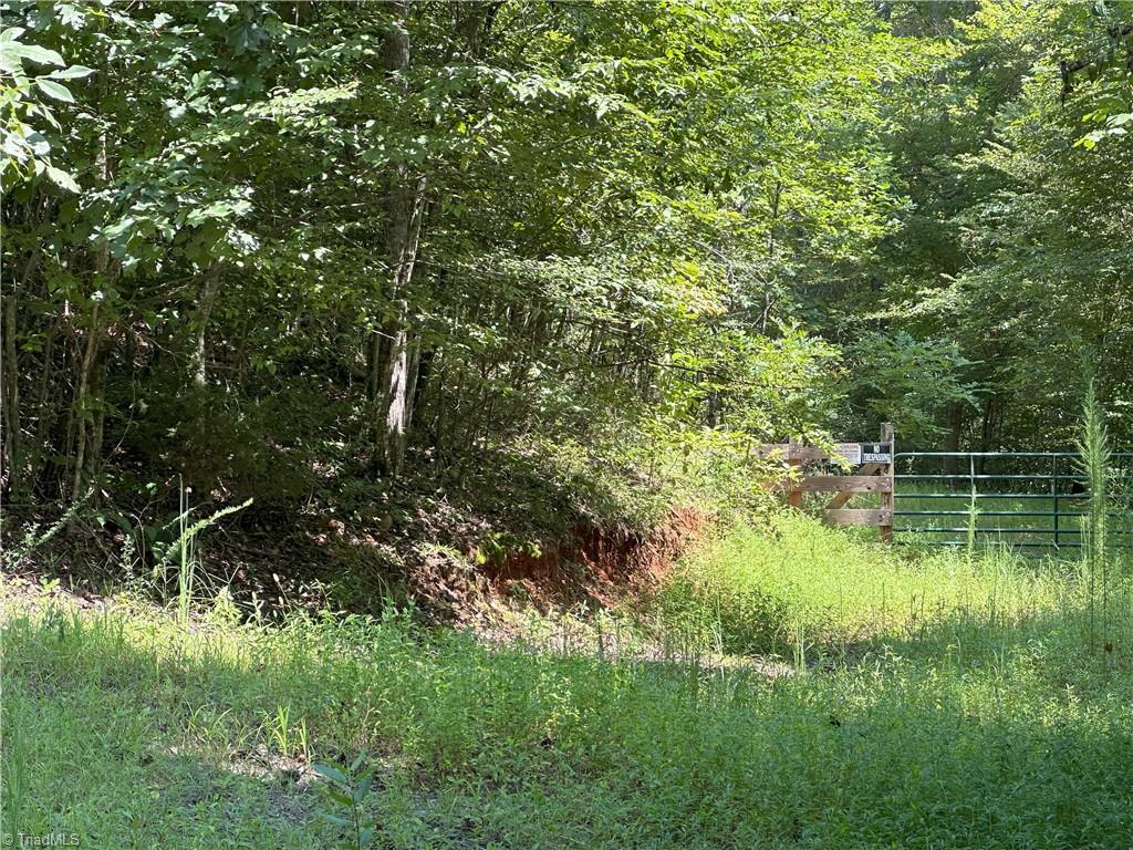 0 Mary Ann Road Walnut Cove, NC 27052 - Photo 1 of 17 Front Gate