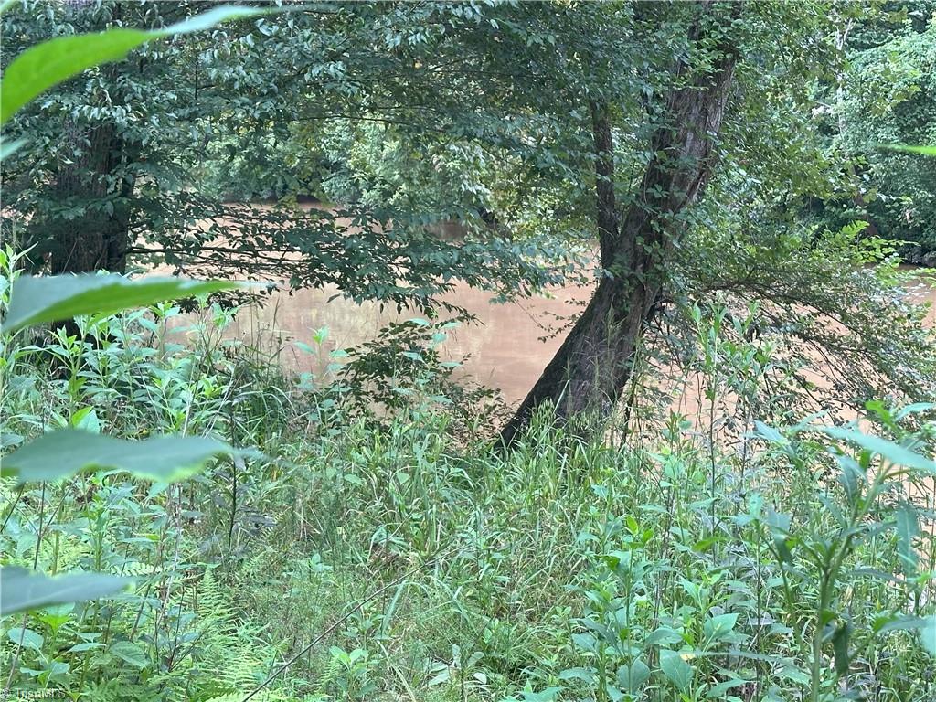 0 Mary Ann Road Walnut Cove, NC 27052 - Photo 12 of 17 Gallery Image 12