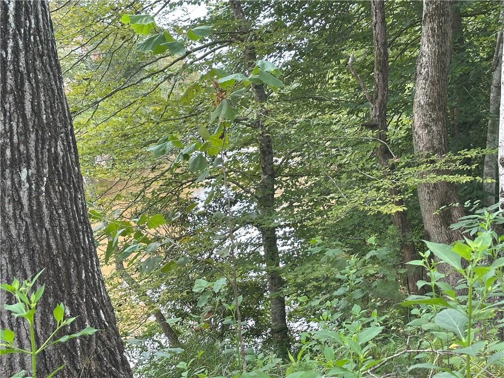 0 Mary Ann Road Walnut Cove, NC 27052 - Photo 14 of 17 Gallery Image 14