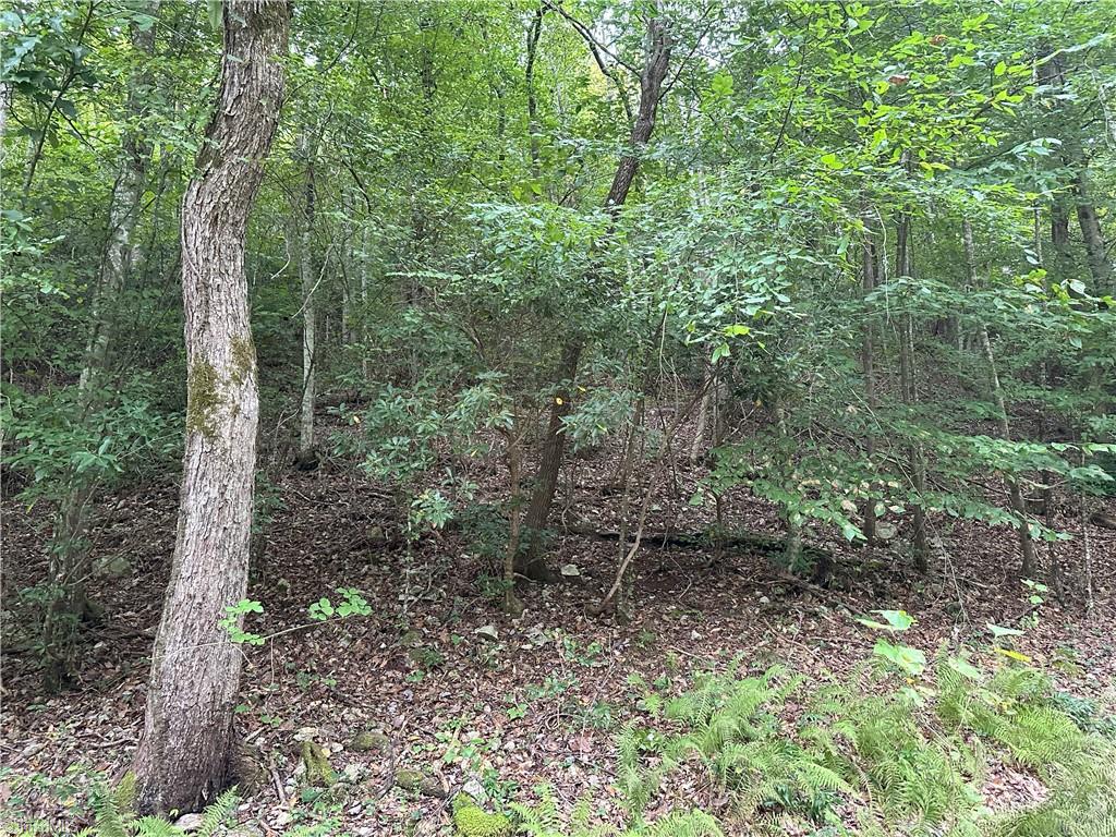 0 Mary Ann Road Walnut Cove, NC 27052 - Photo 15 of 17 Gallery Image 15